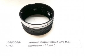 Кольца поршневые (комплект 18 шт) 310 л.с. л.с.CA6DL1 Евро2